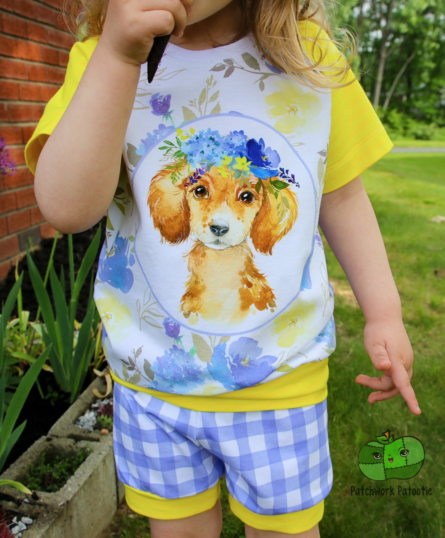 Tribute Raglan (2T) - Tiny Baby Froggy